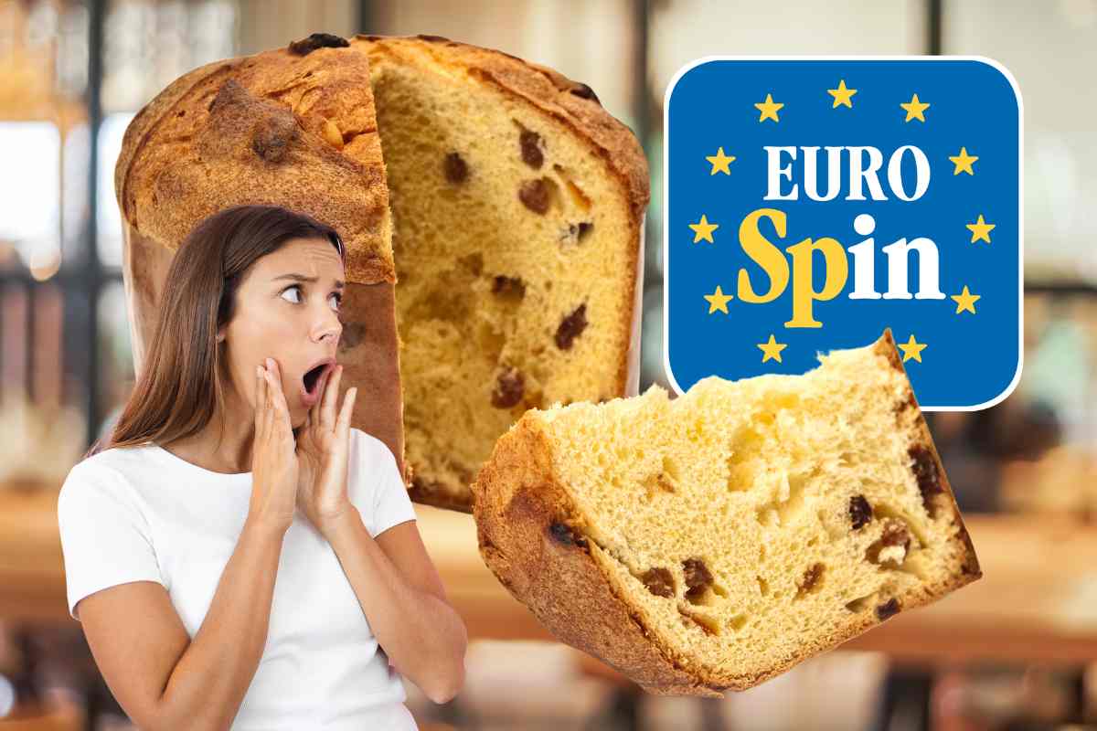 Chi produce panettone Eurospin