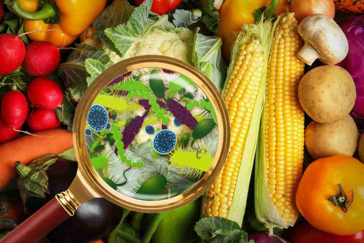 Cibo contaminato