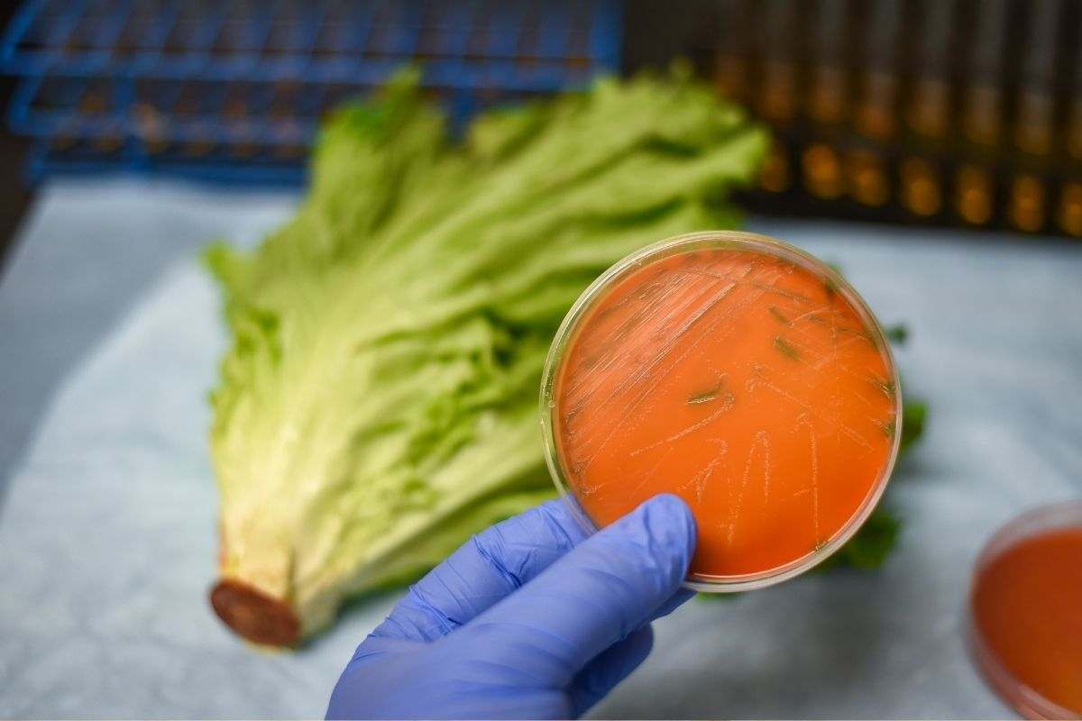 Test in laboratorio