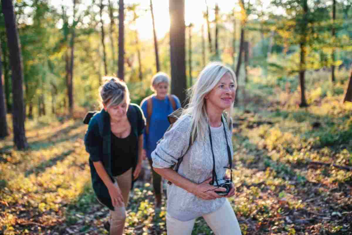 3 donne che camminano nella foresta