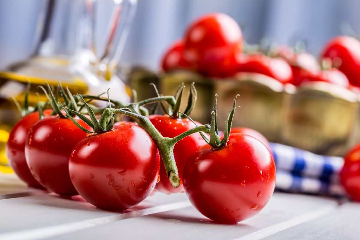 pomodori consumo gestazione