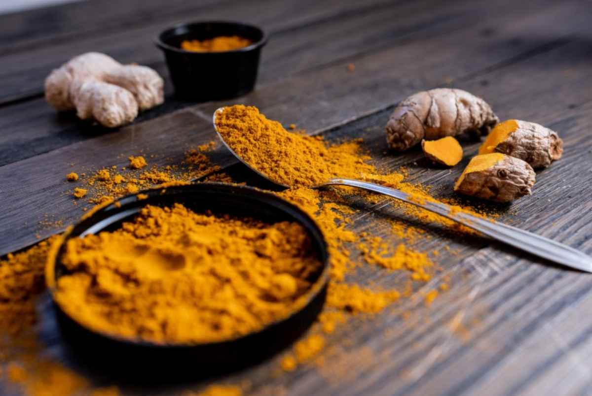 Curcuma in polvere