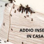 Primavera incubo insetti