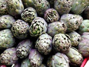 i carciofi