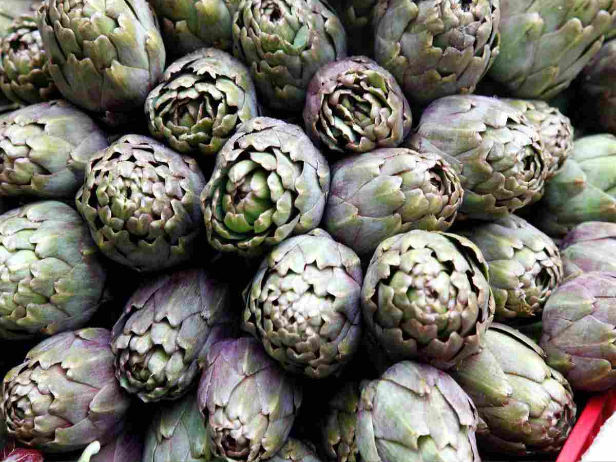i carciofi