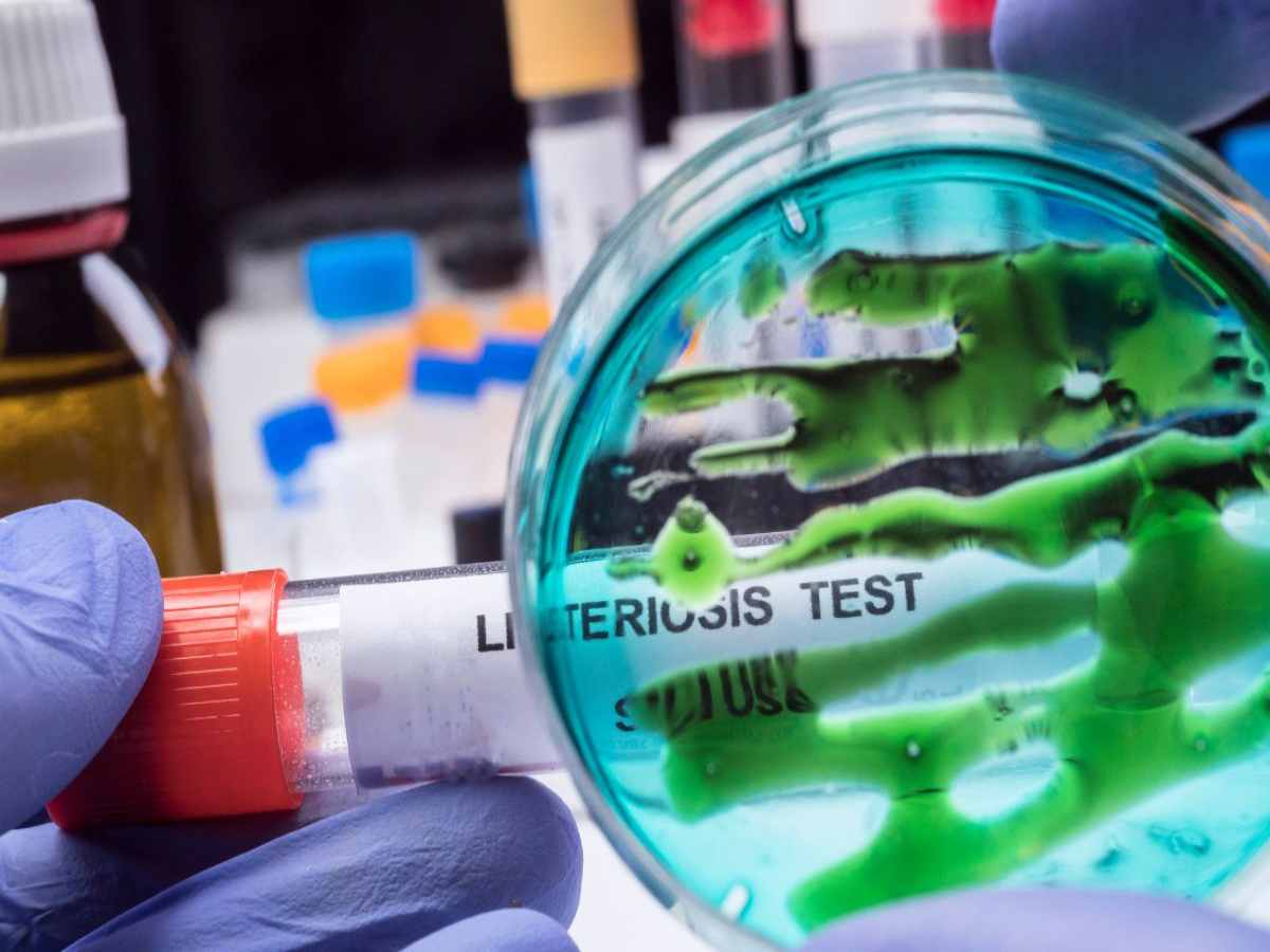 Listeria