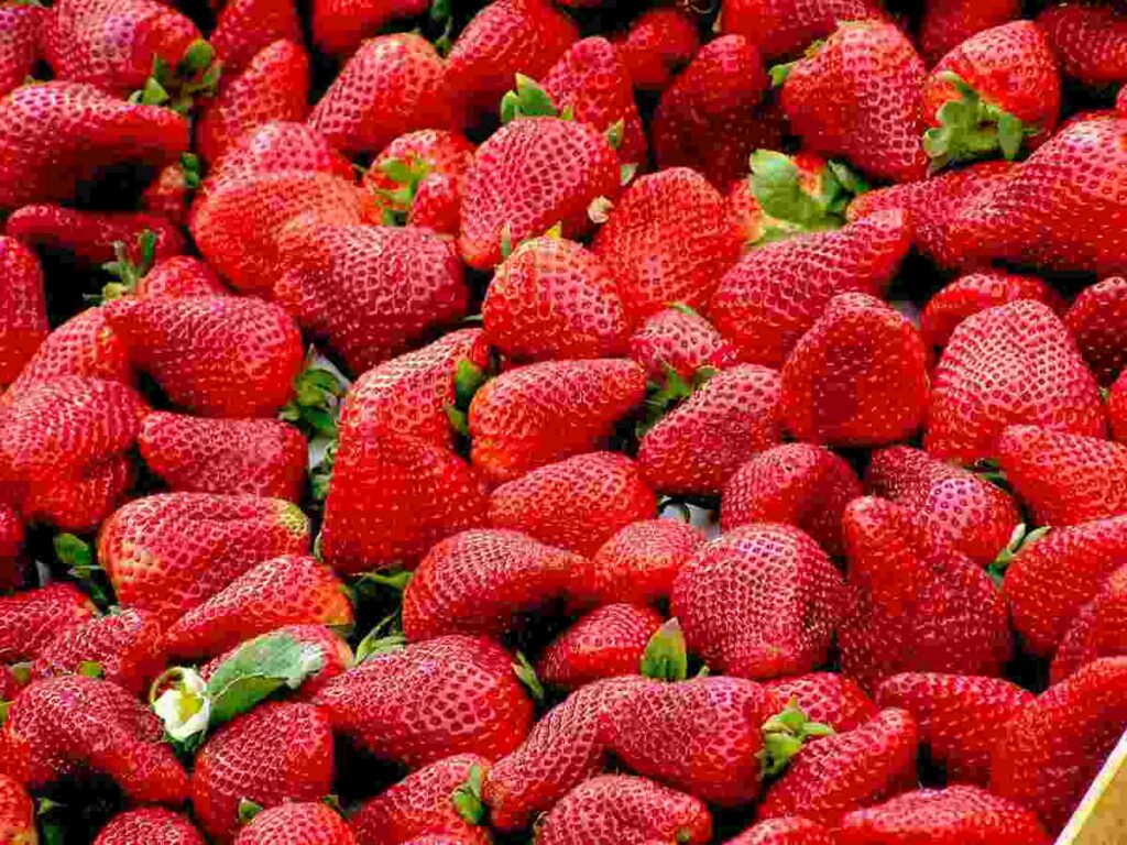 Fragole conservarle più a lungo