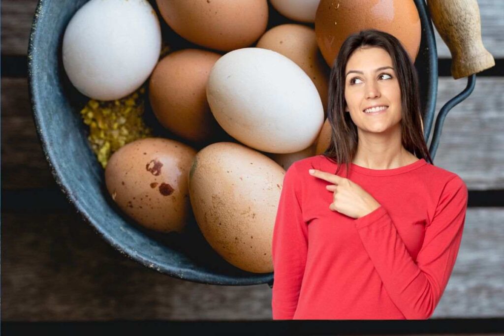 Uova appena raccolte