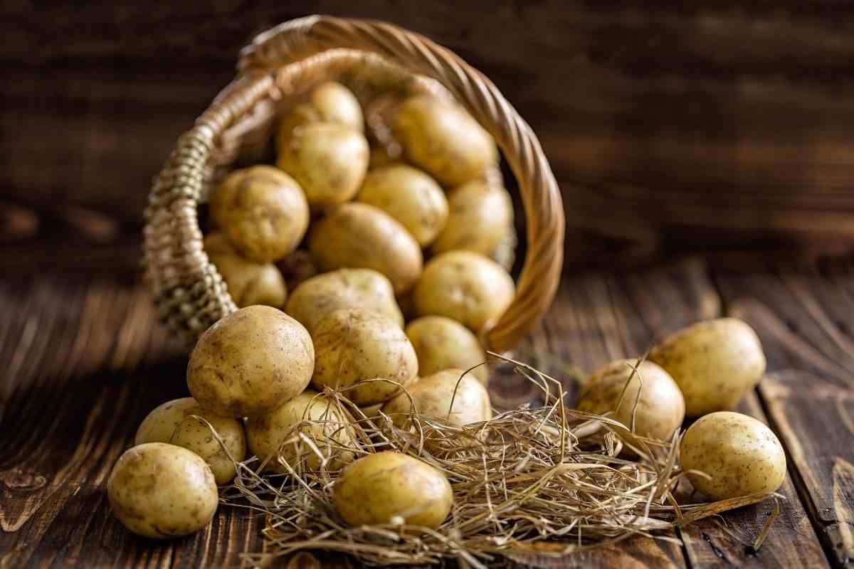 Patate alternative frittura