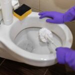 Pulire il wc