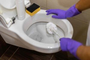 Pulire il wc