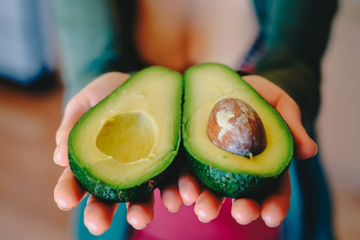 avocado come riconoscere quello maturo