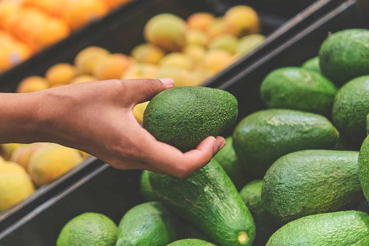 avocado come riconoscere quello maturo