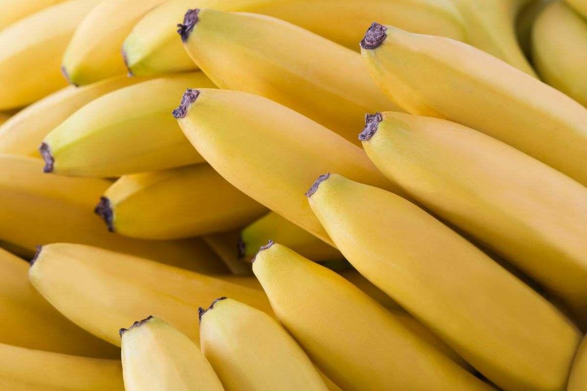 banane gialle