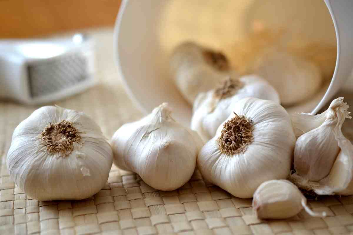 bruciare aglio benefici