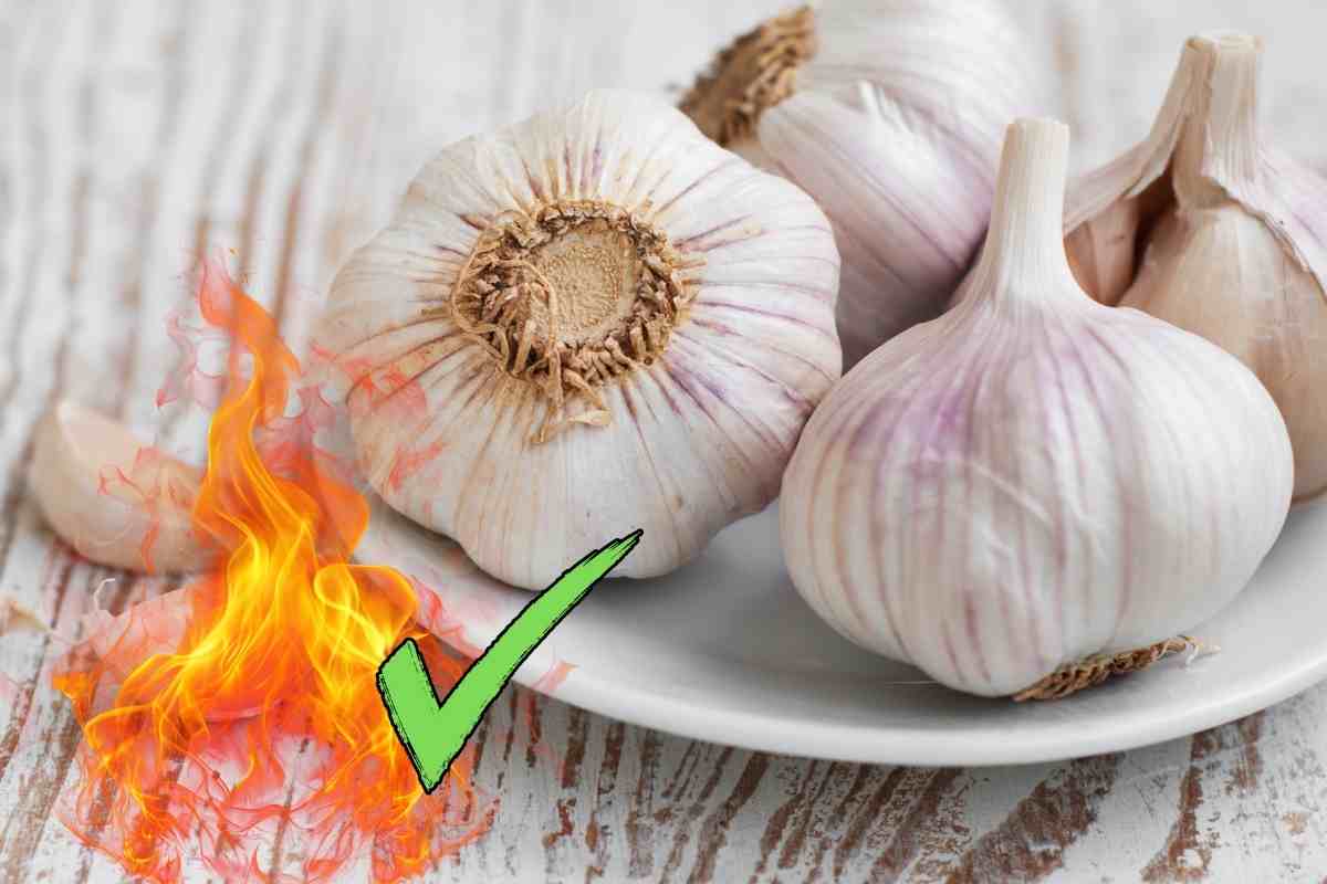 bruciare aglio benefici