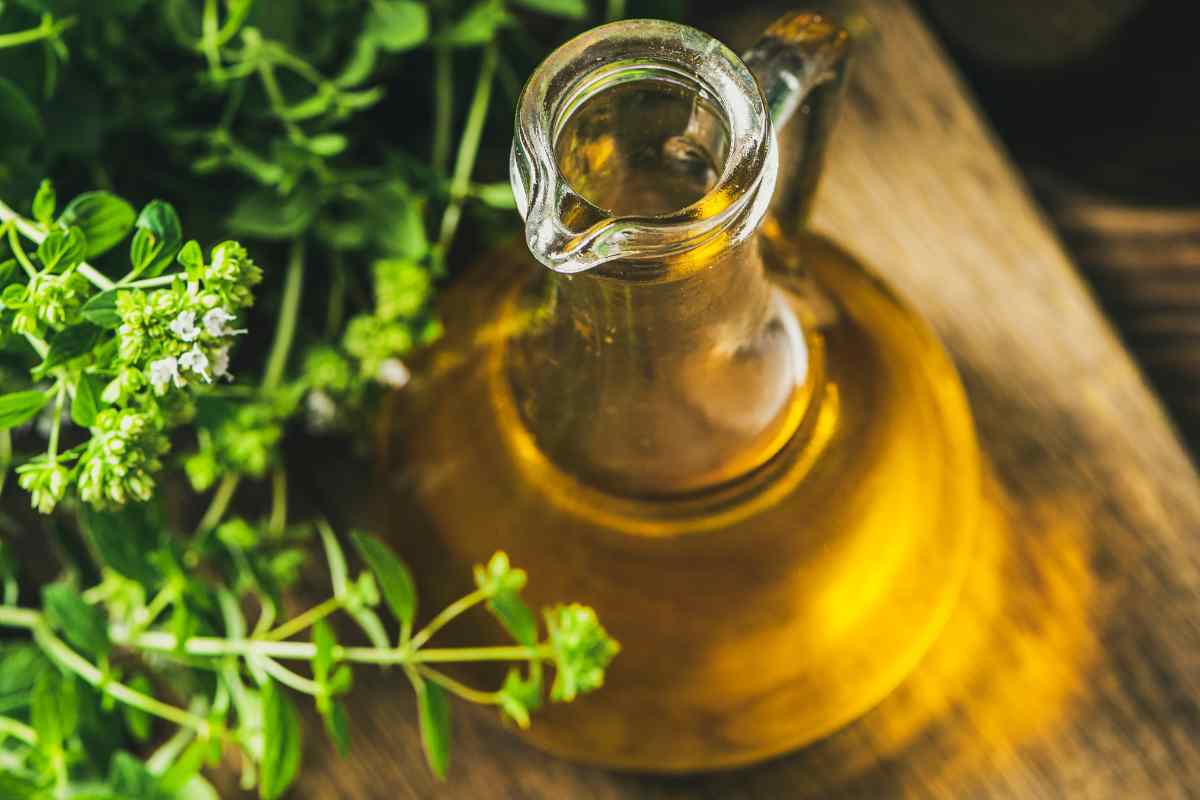 infuso di origano