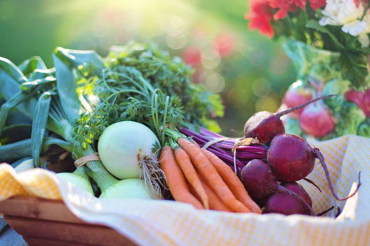 metodo giapponese conservare alimenti