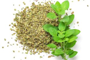 infuso di origano
