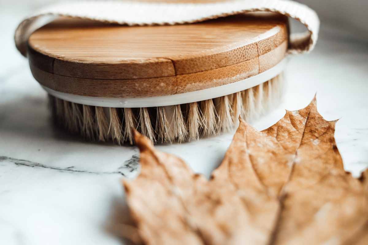 spugna setole naturali