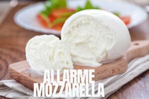 mozzarella