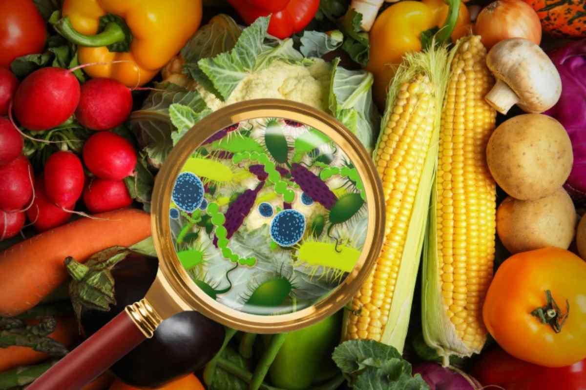 Batteri sulle verdure