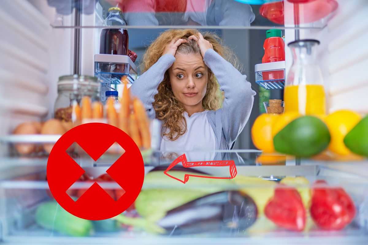Cibi non mettere frigo