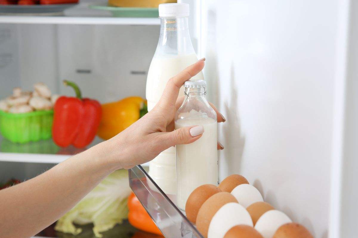 consigli conservazione alimenti caldo