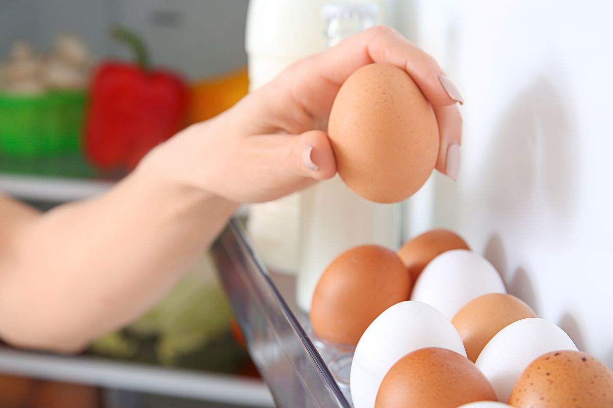 consigli conservazione alimenti caldo