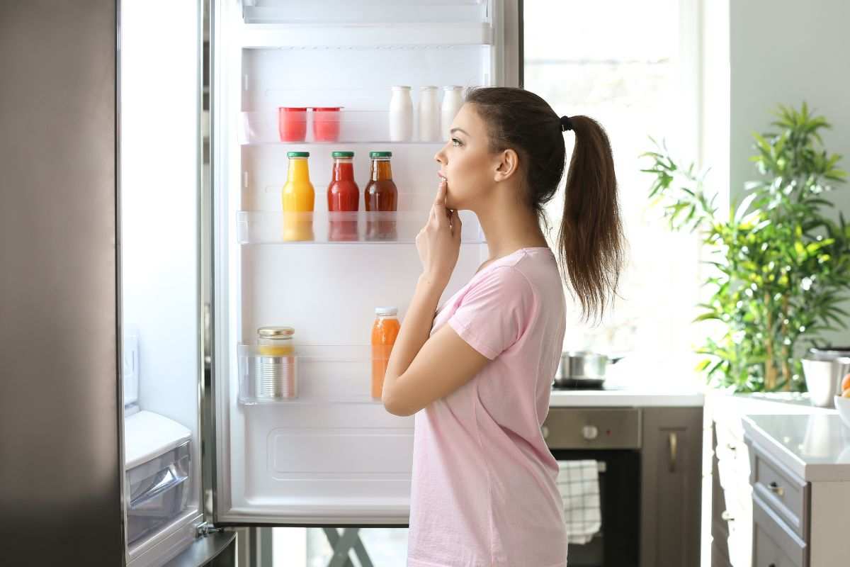 Cibi non mettere frigo