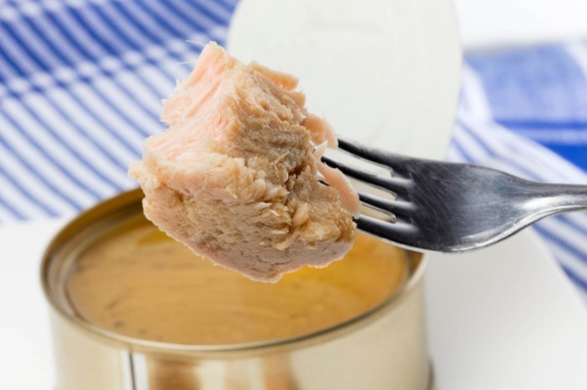 Forchetta con un pezzo di tonno