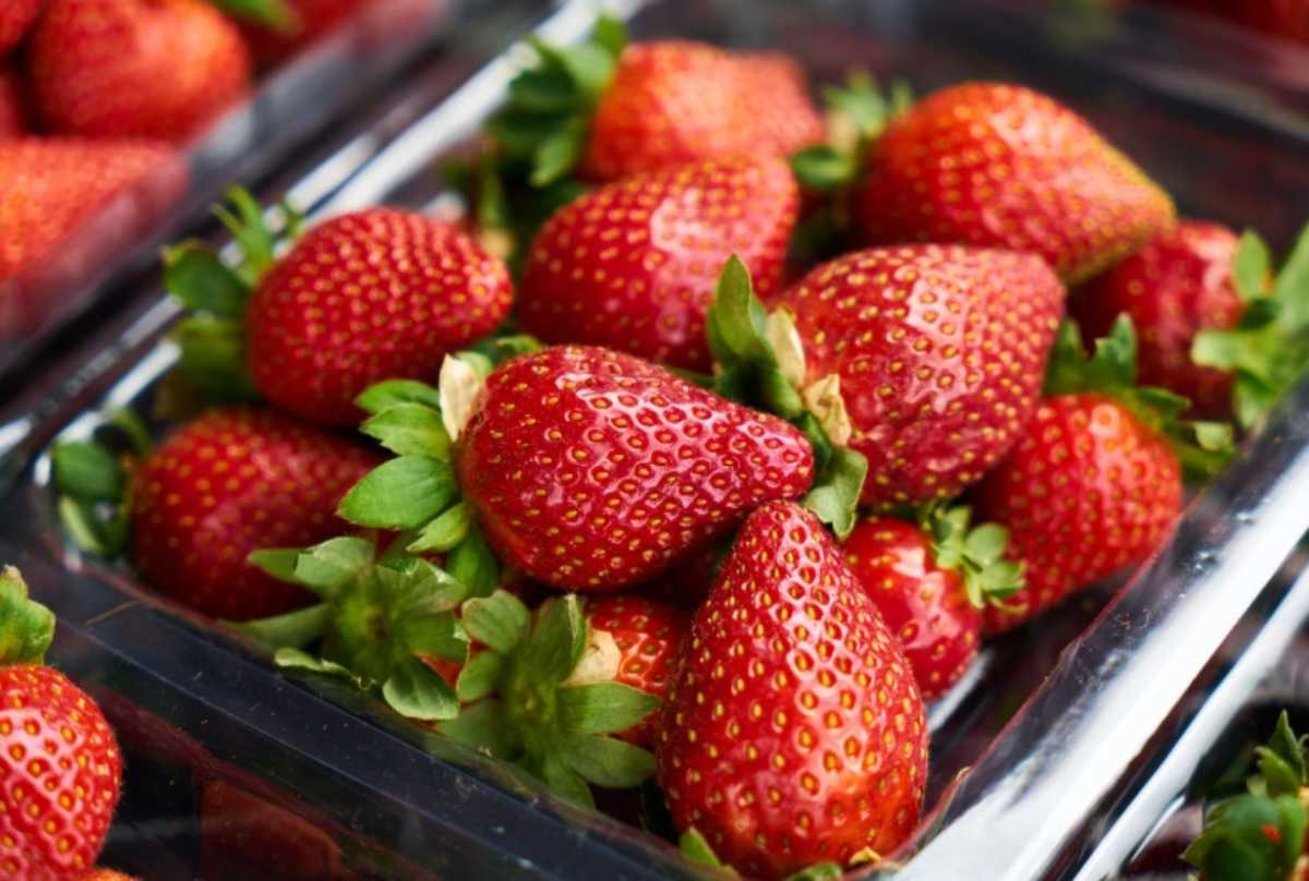 Fragole al supermercato