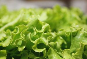Insalata