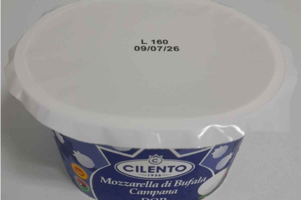 Mozzarella di bufala del Cilento
