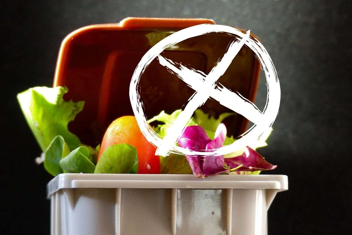 Niente sprechi alimentari
