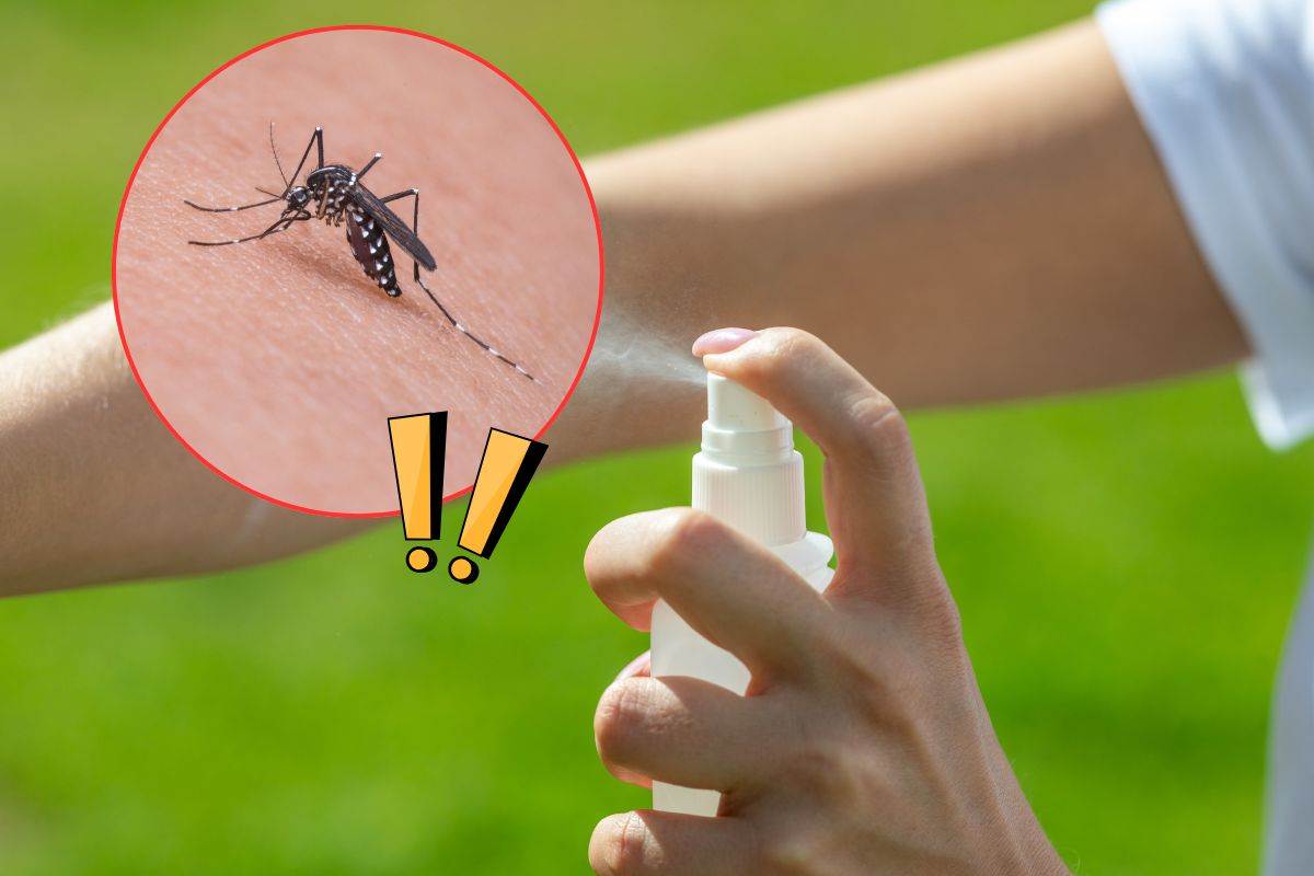 Soluzione spray anti zanzare