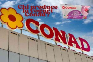 conad yogurt