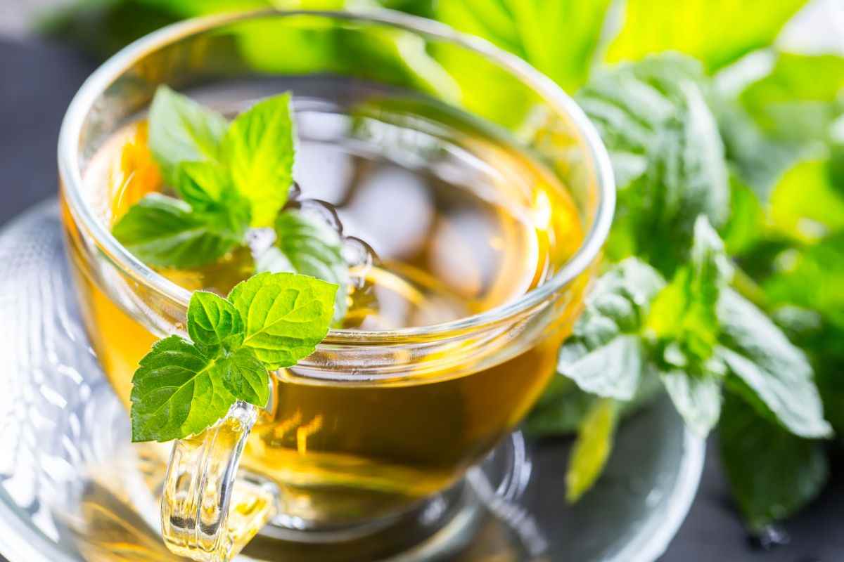 tè menta