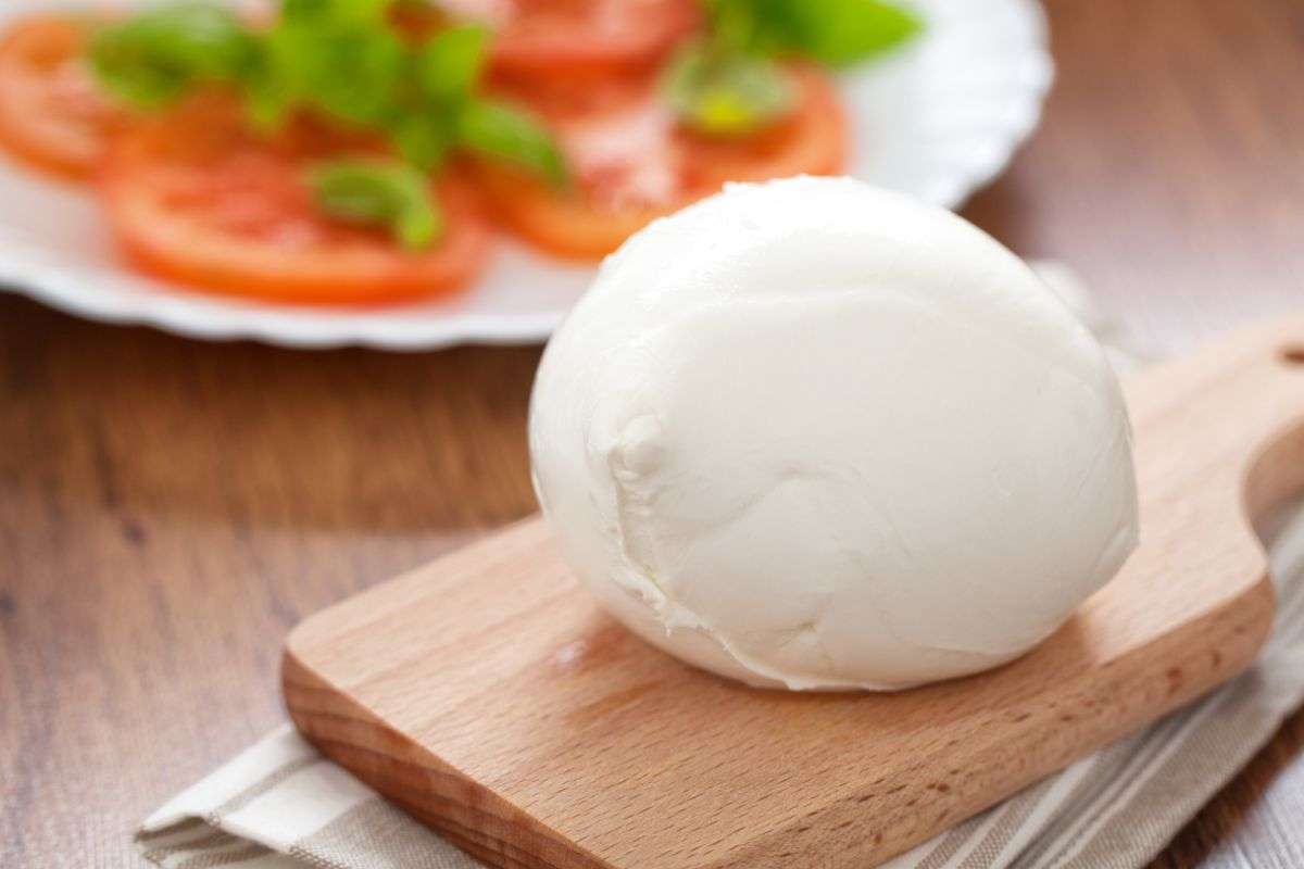 mozzarella