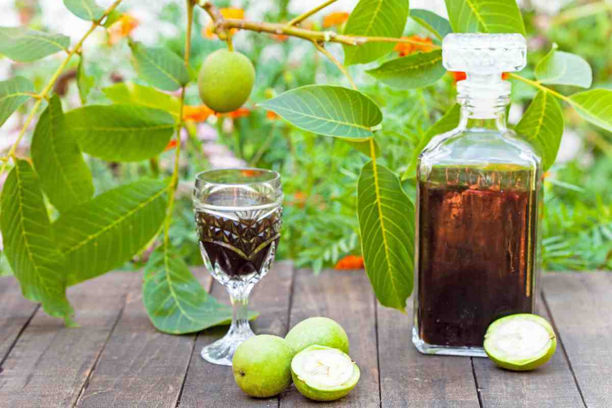 preparare il nocino