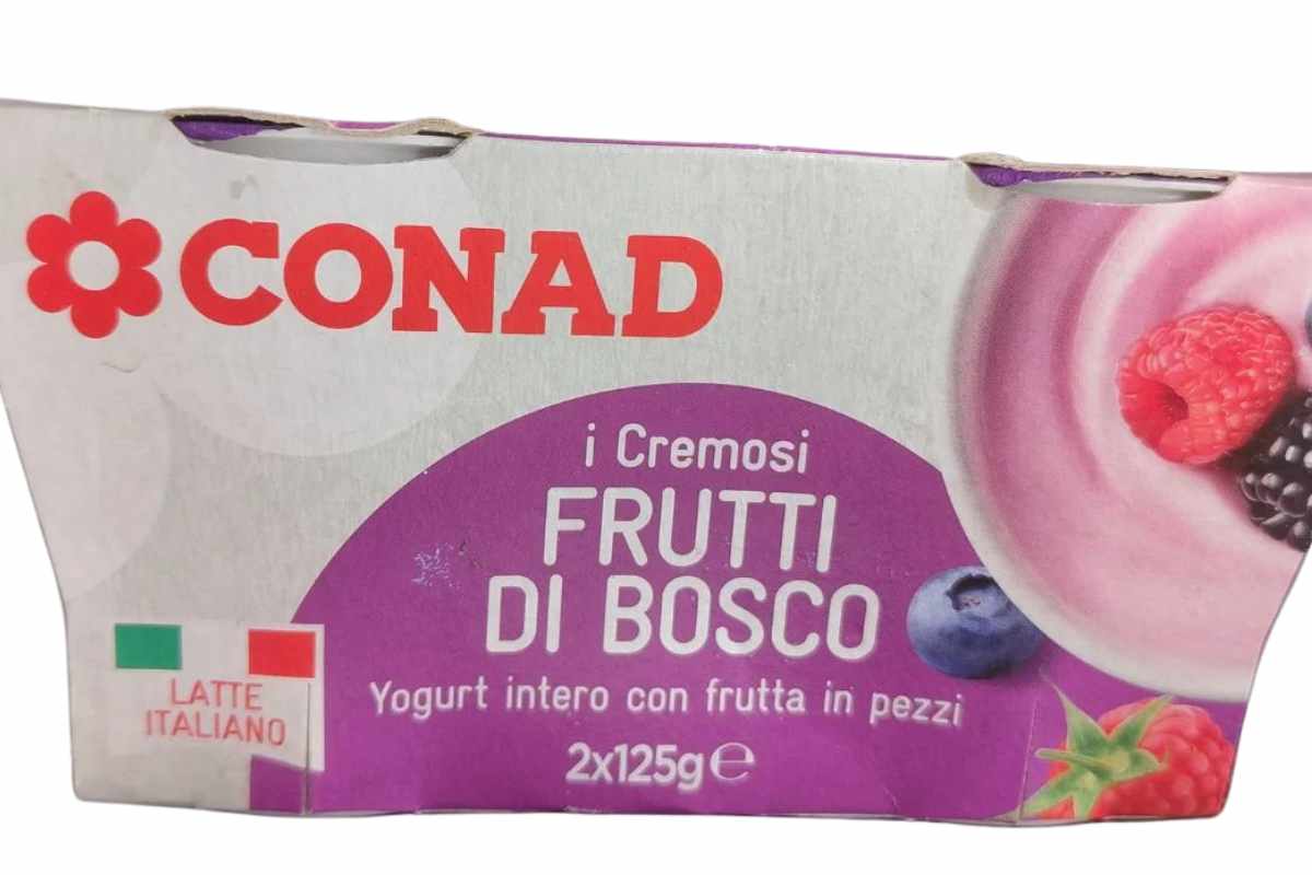 yogurt conad
