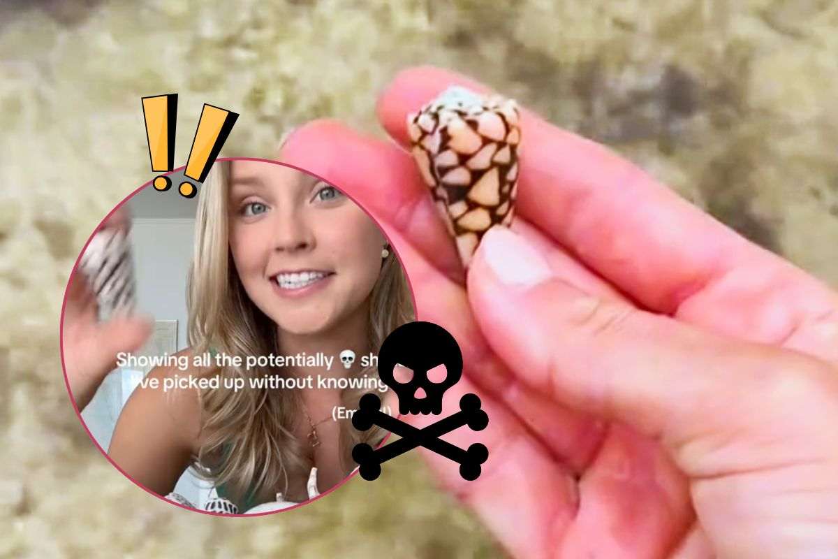 La tiktoker mostra la conchiglia
