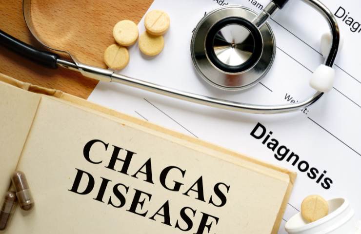 Una diagnosi di morbo di Chagas
