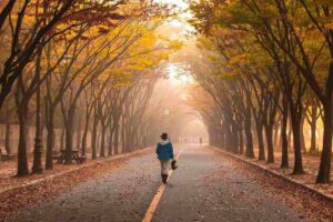 Persona che cammina nel bosco. Grasso addominale