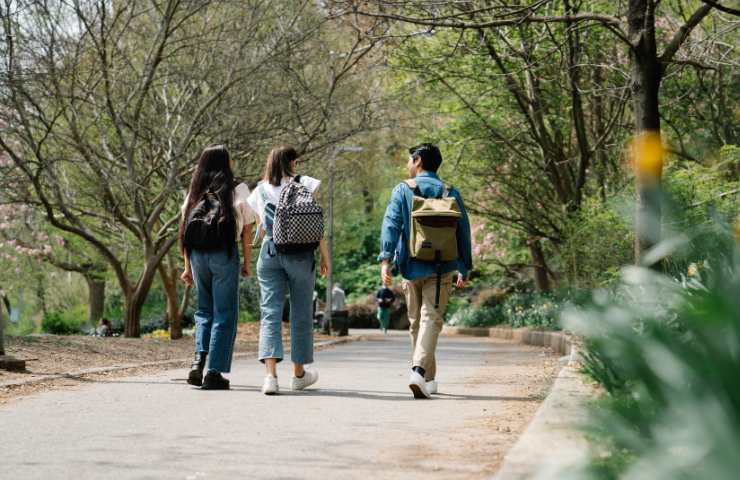 Delle persone che camminano in un parco pubblico