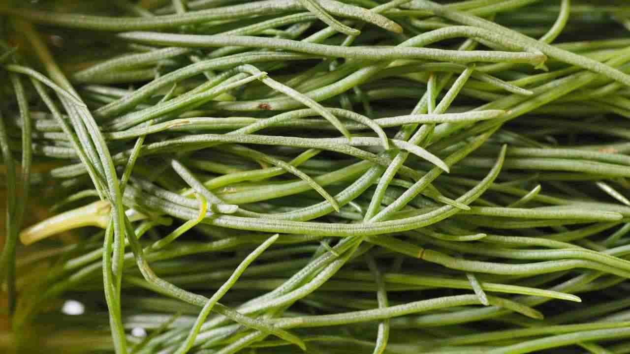 agretti