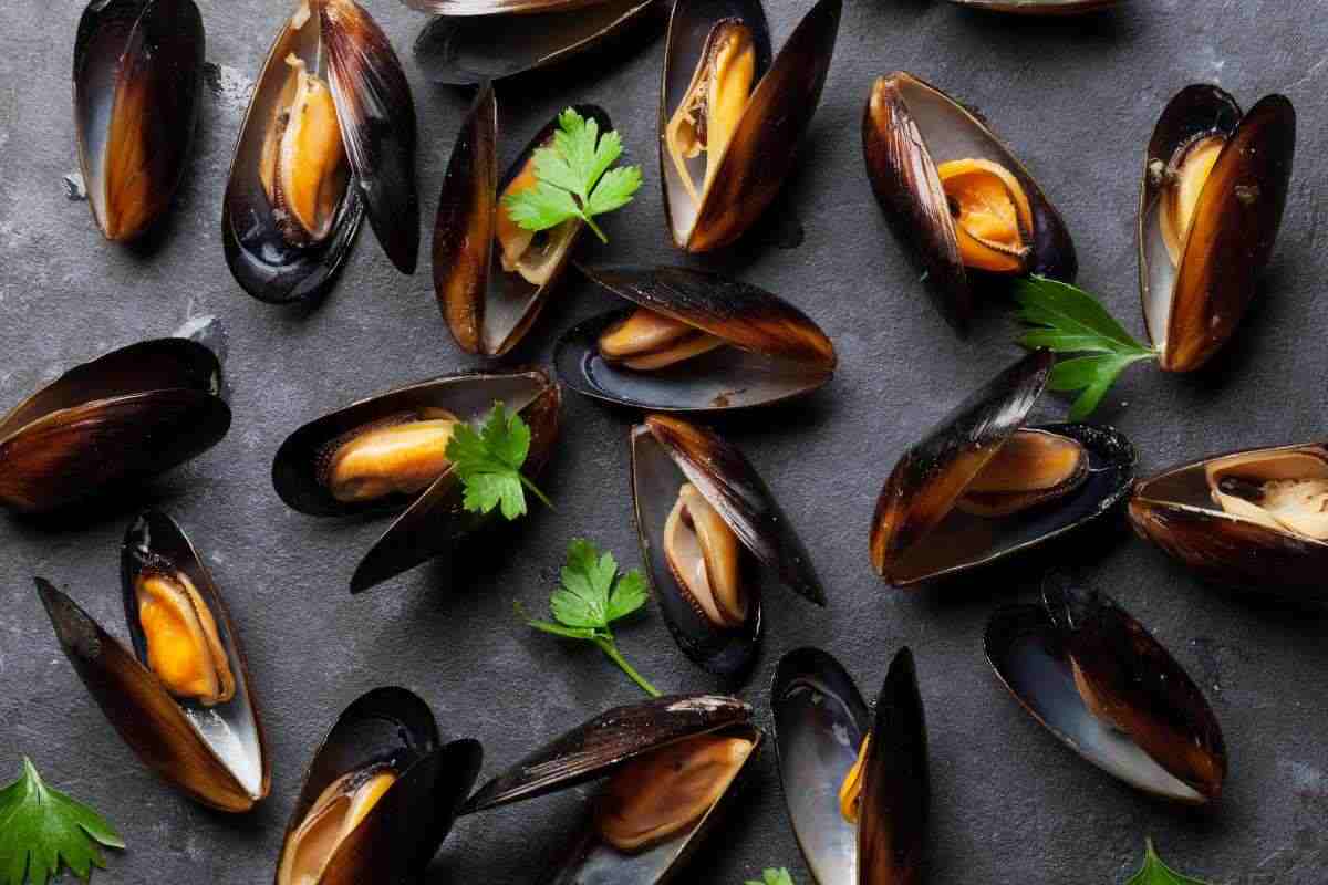 cozze