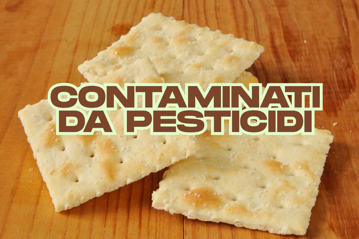 crackers