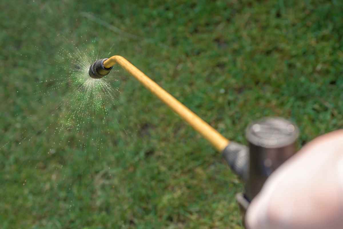 disinfestare il giardino