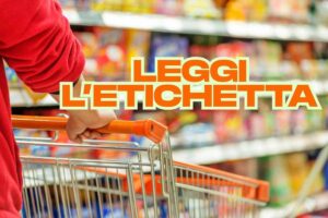 fare la spesa